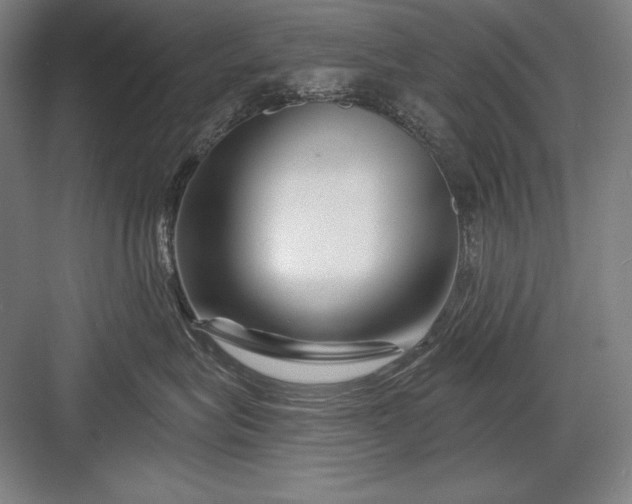 X0000082960575200702152309