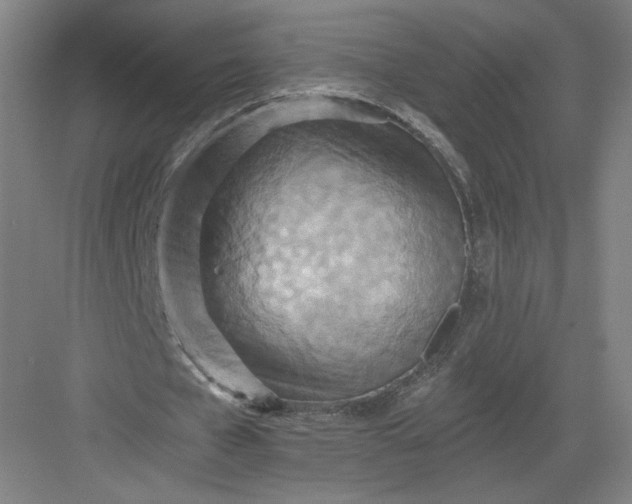 X0000082960577200702152308