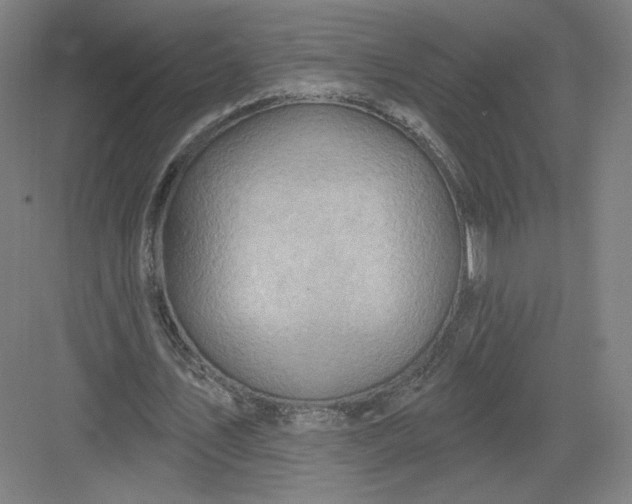 X0000082960579200702152308