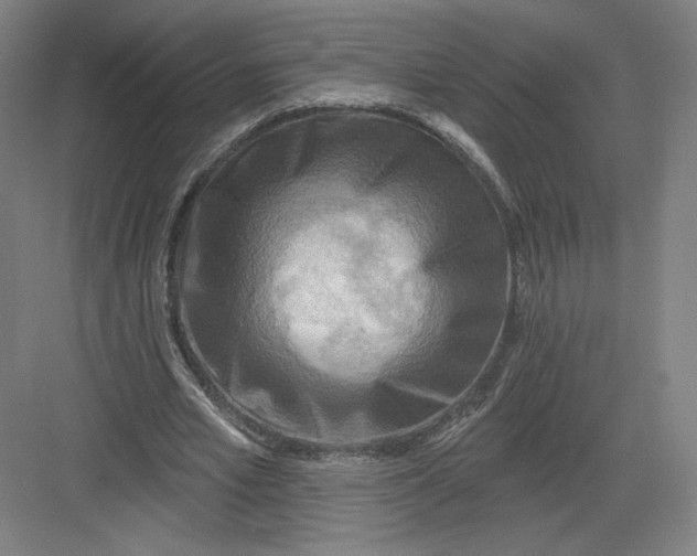 X0000082960581200702152308