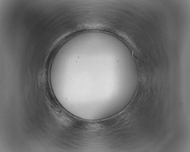 X0000082960583200702152308