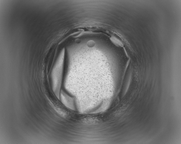 X0000082960586200702152308