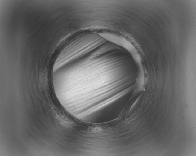 X0000082960588200702152308