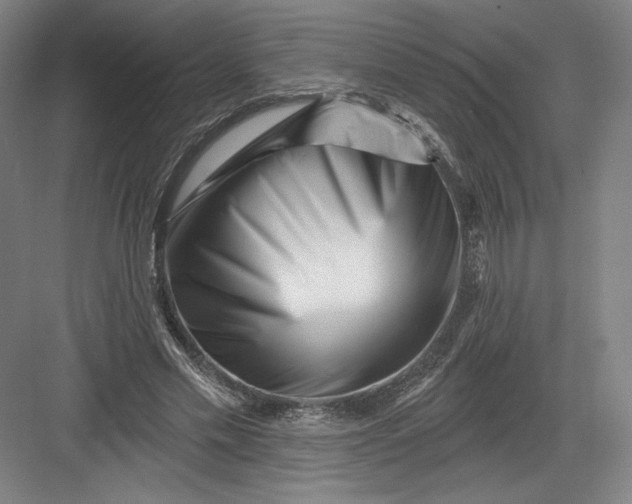 X0000082960589200702152308