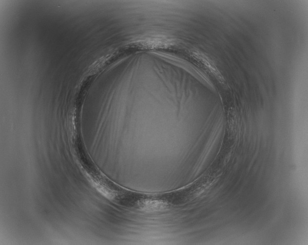 X0000082960590200702152308