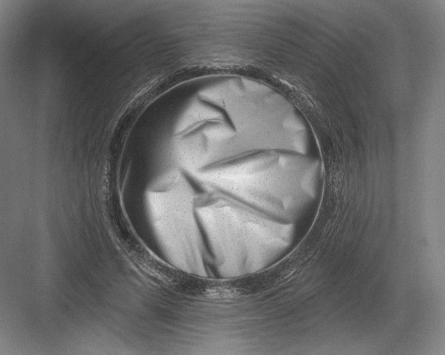 X0000082960591200702152308