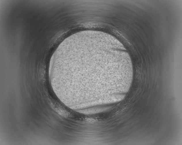 X0000082960592200702152308