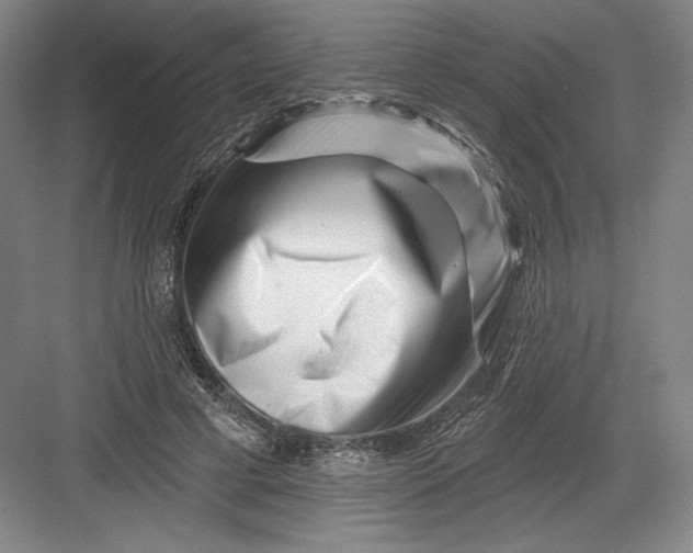 X0000082960593200702152308