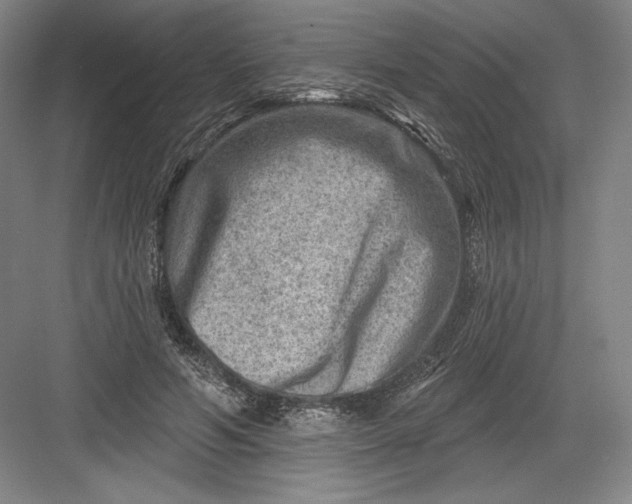 X0000082960594200702152308