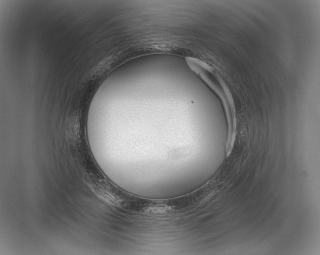 X0000082960595200702152308