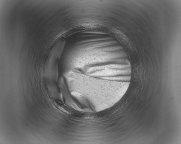 X0000082960596200702152308