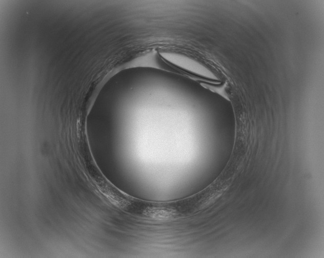 X0000082960597200702152308