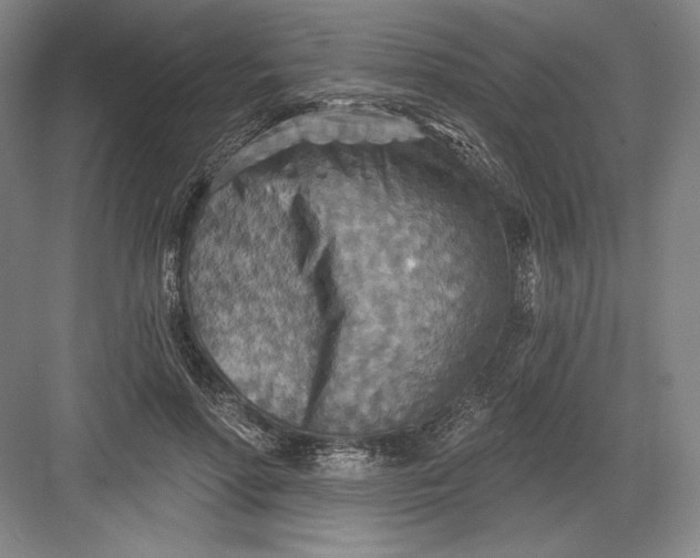 X0000082960598200702152308