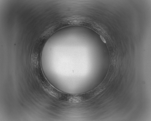 X0000082960599200702152308