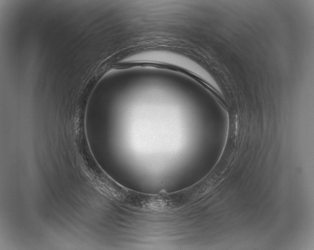 X0000082960600200702152308