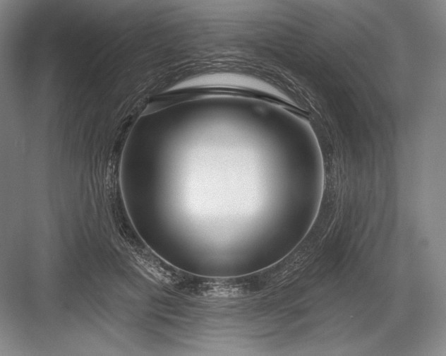 X0000082960601200702152308