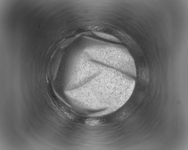 X0000082960602200702152308