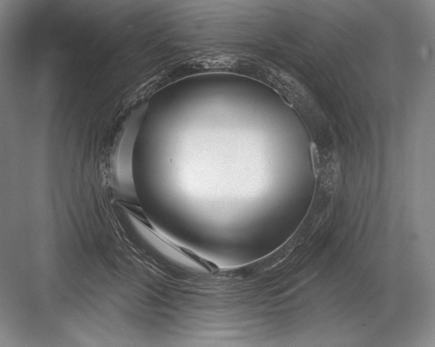 X0000082960604200702152308