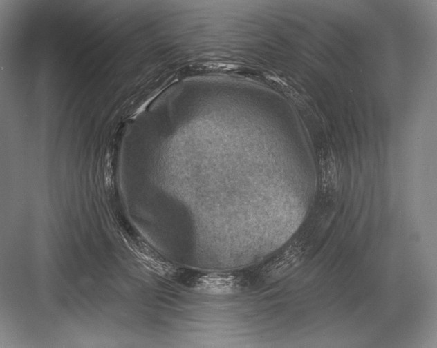 X0000082960606200702152308