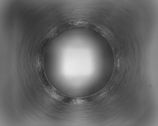 X0000082960607200702152308