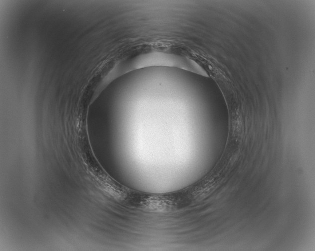 X0000082960608200702152308