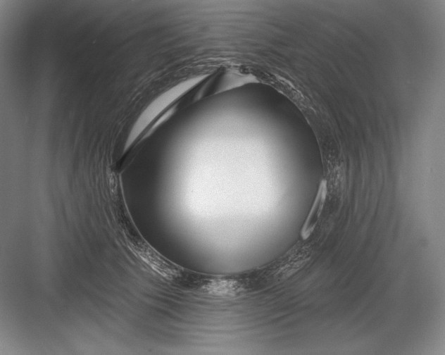 X0000082960609200702152308