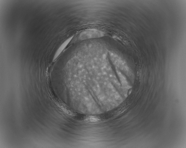 X0000082960610200702152308