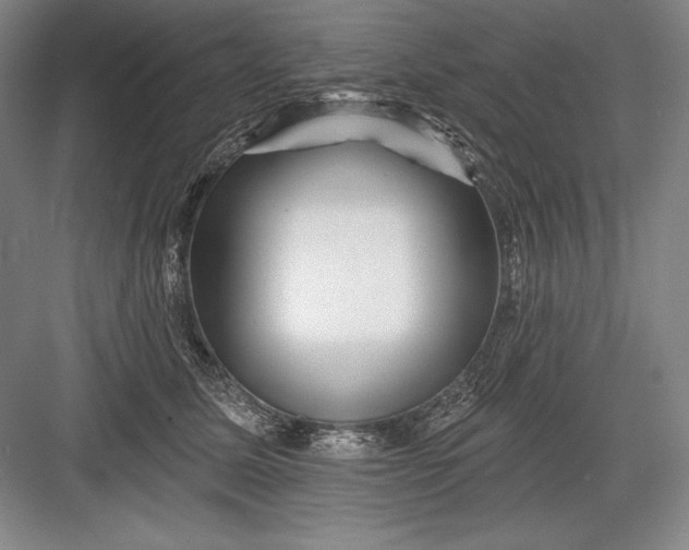 X0000082960611200702152308