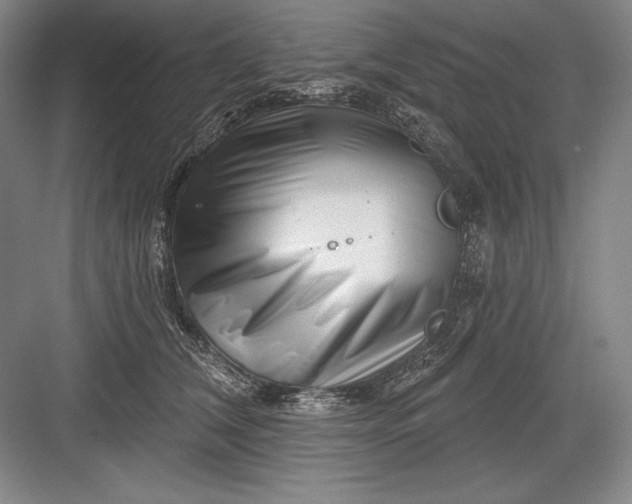 X0000082960612200702152308