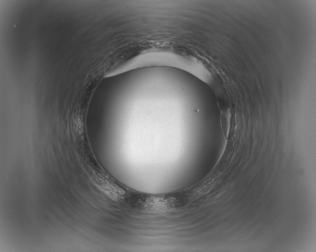 X0000082960613200702152308