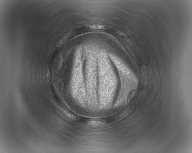 X0000082960614200702152308