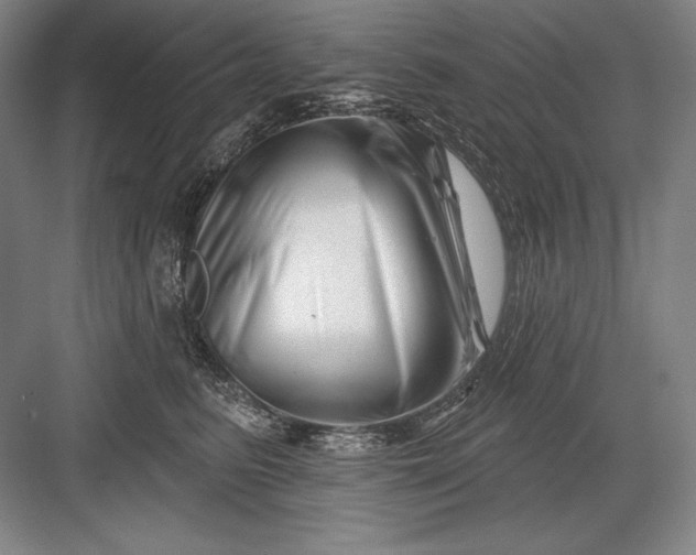 X0000082960615200702152307