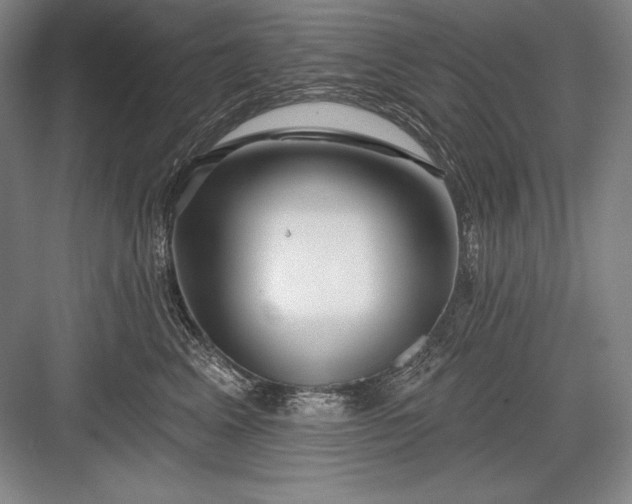 X0000082960617200702152307