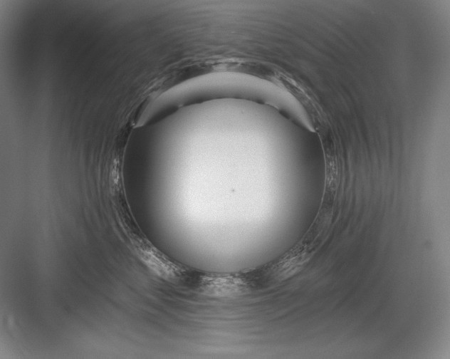 X0000082960621200702152307