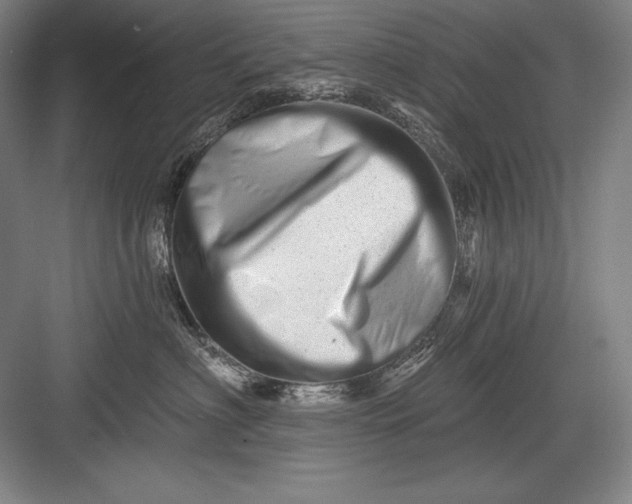 X0000082960622200702152307