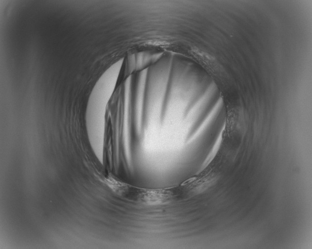 X0000082960623200702152307