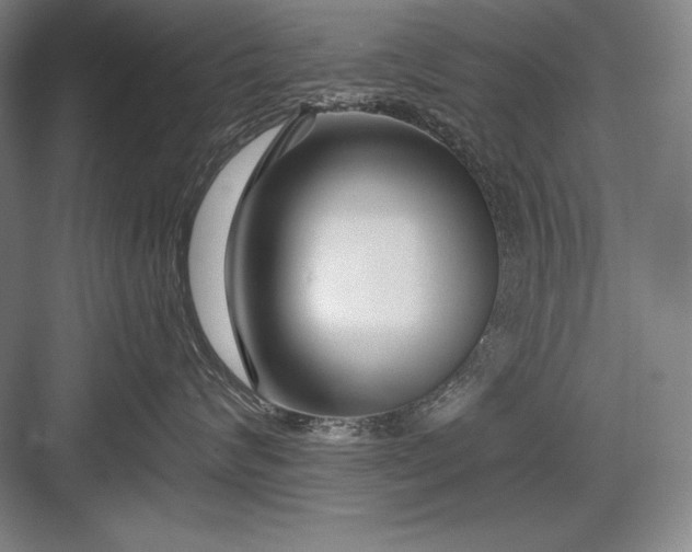 X0000082960624200702152307