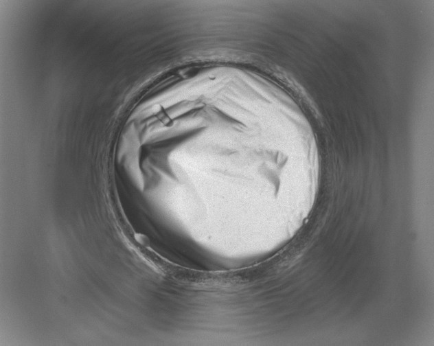 X0000082960625200702152307