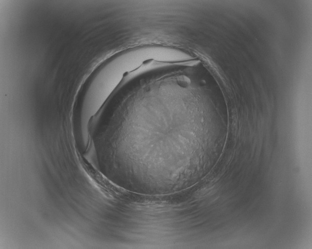 X0000082960626200702152307