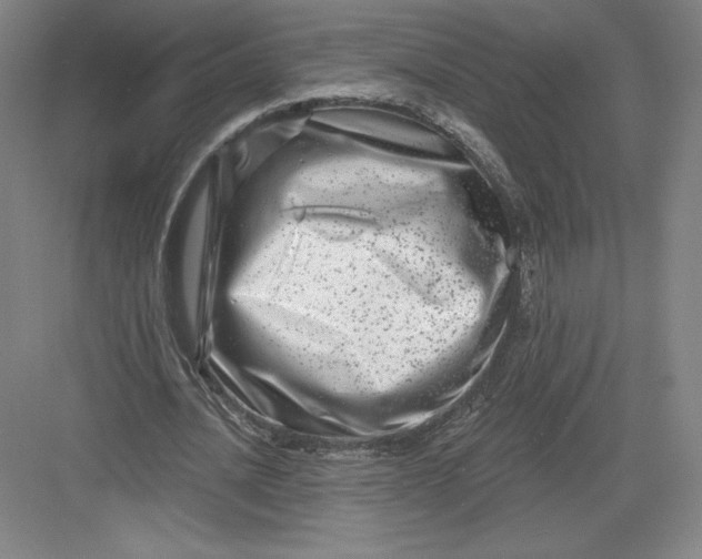 X0000082960628200702152307