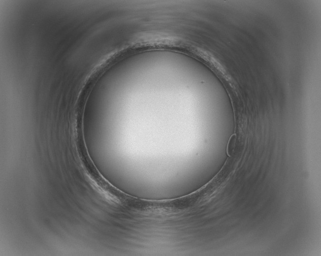 X0000082960629200702152307