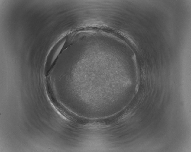 X0000082960630200702152307