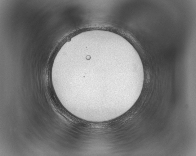 X0000082960632200702152307