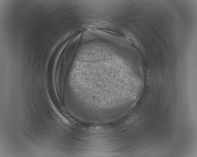 X0000082960634200702152307