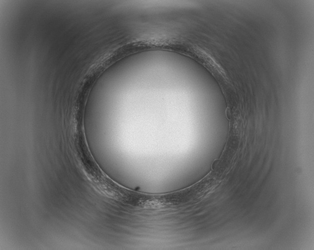 X0000082960635200702152307