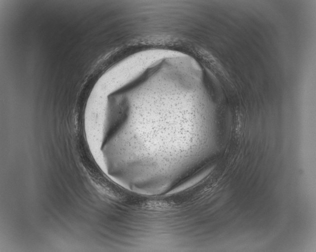 X0000082960636200702152307