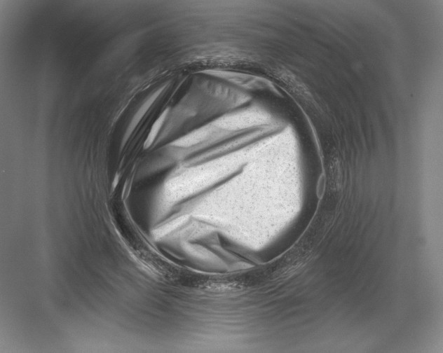 X0000082960638200702152307