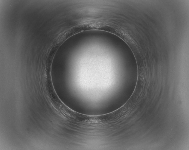 X0000082960639200702152307