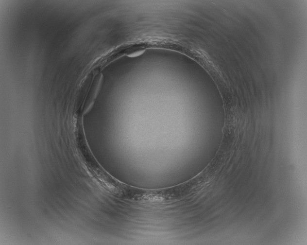 X0000082960640200702152307