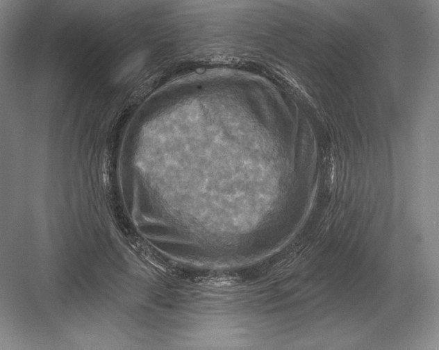 X0000082960643200702152307